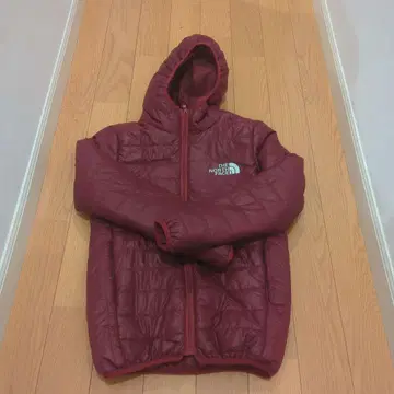 THE NORTH FACE 다운 자켓