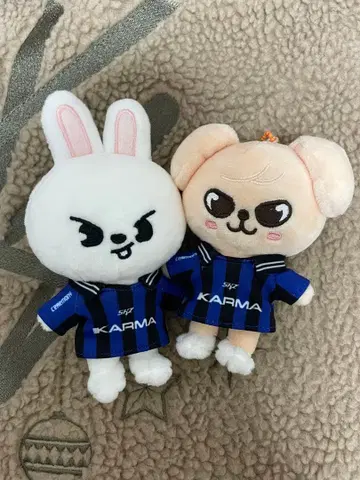 StrayKids 스키즈 리빗 퍼핌