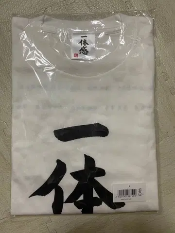 히나타자카46 일체감 T셔츠 L 사이즈