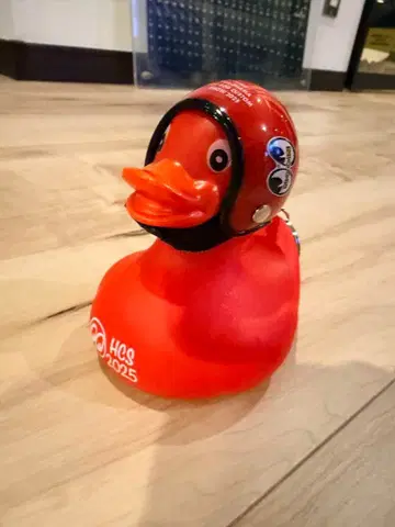 HRC 한정판 Moon 러버 덕 헬멧