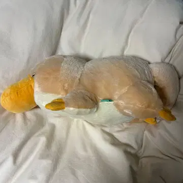 오리너구리 봉제 인형 가장자리 오리너구리