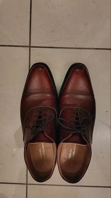 REGAL 브라운 드레스 신발