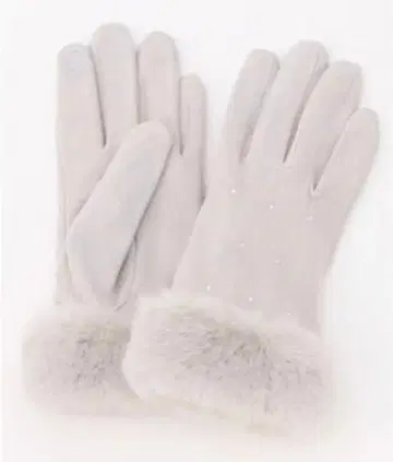 애니시스 샤인 스톤 그로브 라이트 그레이