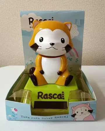 흔들흔들 솔라 라스칼