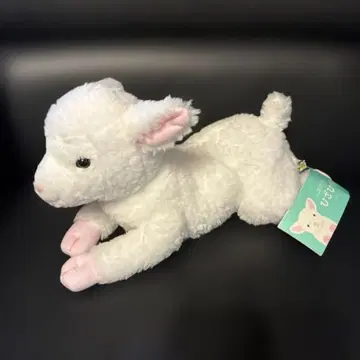 오른쪽 아래! 무릎 양의 봉제 인형