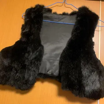 블랙 퍼 베스트 슬리브리스