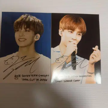 세븐틴 세부치 정한 로손 프린트