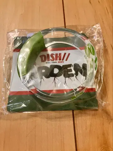 DISH// 홀 투어 2024 GARDEN 라이트 뱅글