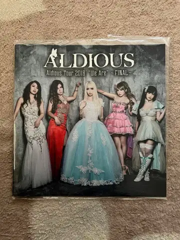 [12/13까지] Aldious 알디우스 2018년 투어 팜플렛