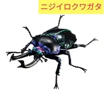 [ 미개봉 ] 생물대도감 어드밴스 무지개색 사슴벌레