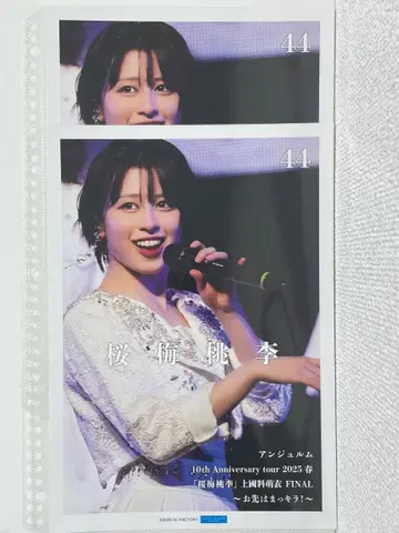 안쥬르므 핑포스 히라야마 유키