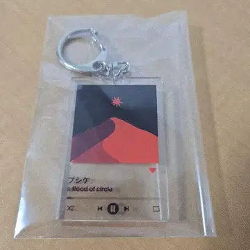 a flood of circle 푸시케 아크릴 키링 플러드