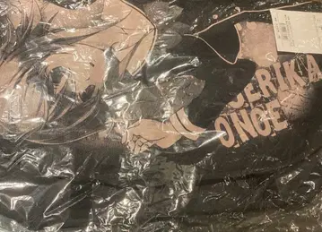 오노에 세리카 메신저 백