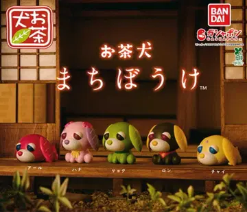 오차이누 기다림 컴플리트 세트