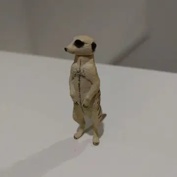 캡슐Q 미어캣 피규어