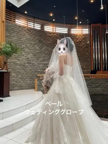 드레스모어 베일 웨딩 장갑