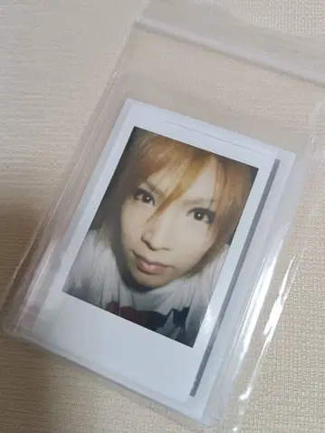 골든 폭격기 금폭 귀류인 쇼 폴라로이드 사진 새상품급