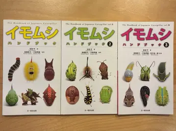 애벌레 핸드북 전 3권 세트