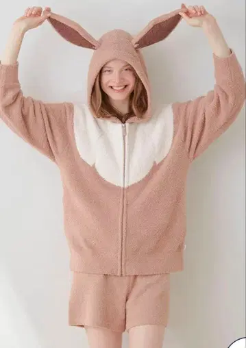 gelato pique 젤라또피케 [ 포켓몬 슬립 ] 이브이