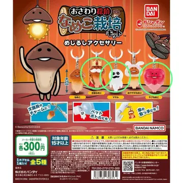 나메코 재배 키트 메지루시 액세서리