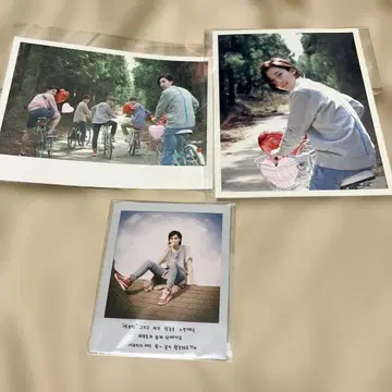 seventeen 정한 loveletter 엽서 폴라로이드