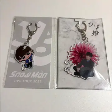 스노치루 우소콘 아크릴 키링 와타나베 쇼타