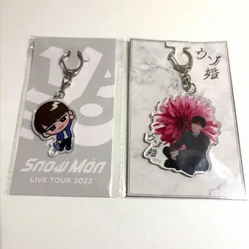 스노치루 우소콘 아크릴 키링 와타나베 쇼타