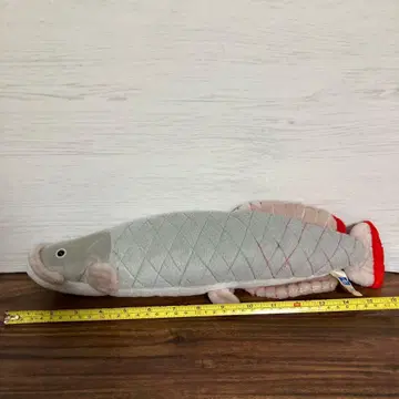 피라루크 봉제 인형