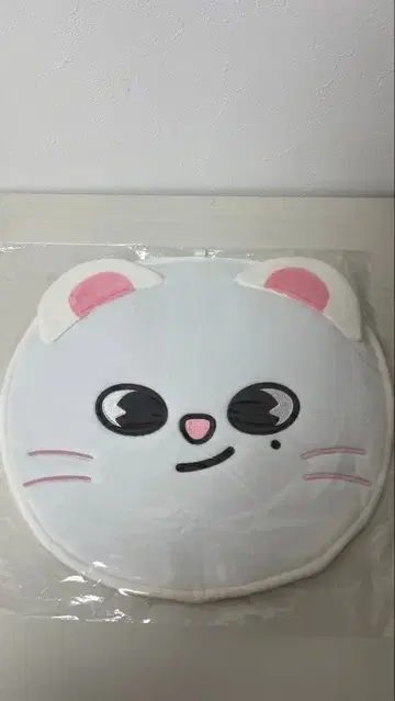 straykids 부채 커버 현진 지니레트