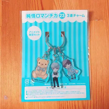 순정 로맨티카 제23권 애니메이트 한정 세트 3연 참