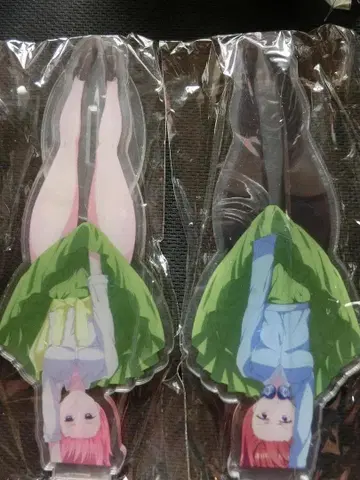 나카노 이치카 나카노 미쿠 아크릴 스탠드 2개 세트