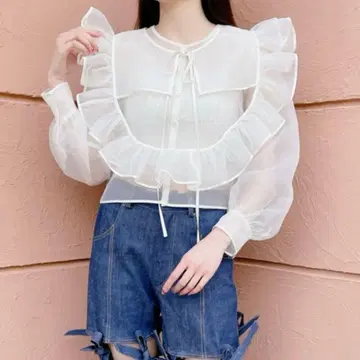 탈부착 카라 오간자 블라우스