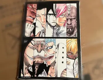 BLEACH EX. 풀컬러 아트 보드 에스파다 BLEACH 원화전