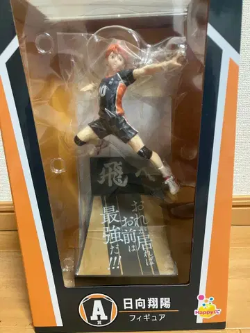 히나타 쇼요 피규어 하이큐!! 10