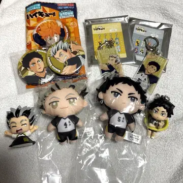 하이큐 보쿠토 아카아시 세트