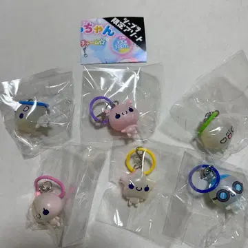 아와와짱 메지루시 액세서리 6종 세트