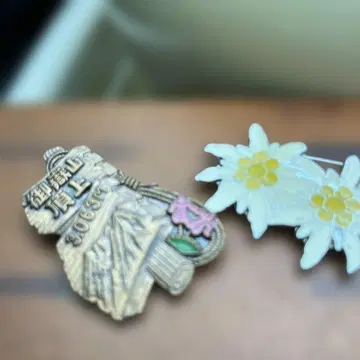 오타케산 정상과 하야치네 우스유키소 핀 배지 2개 세트