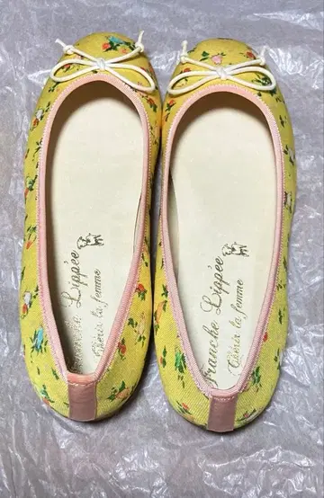 Franche Lippee 앵무새 패턴 발레 슈즈 22.5cm