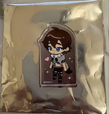 [ 대만 한정판 ] NU 카니발 아크릴 블록 갈