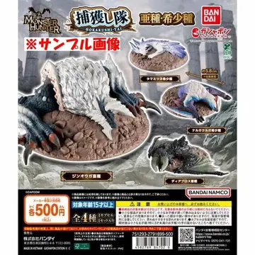 몬스터 헌터 포획 대장 아종 레어종 전종 세트 미사용품 가챠가챠