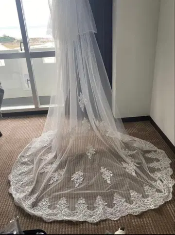 롱 베일 3미터 웨딩 드레스 결혼식 페이스 베일