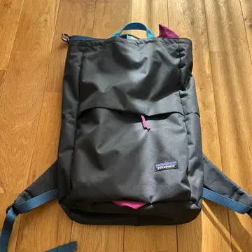 새상품급 파타고니아 백팩