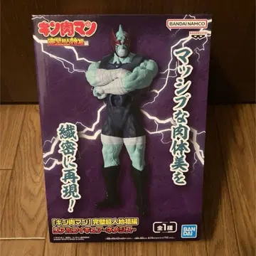 [ 익명 배송 ] 근육맨 완벽초인시조편 리얼 피규어 네메시스