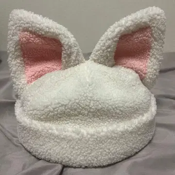 straykids dominate 아이엔 보아캡 폭시니