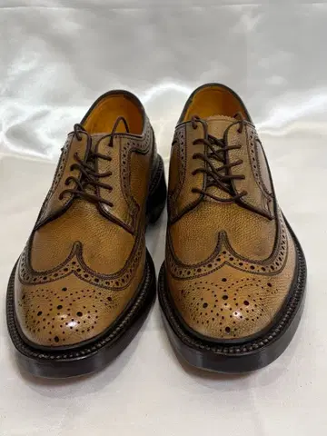 플로어샤임 윙팁