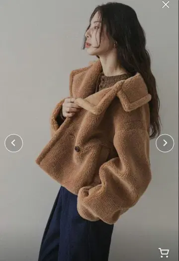 테디베어 숏코트