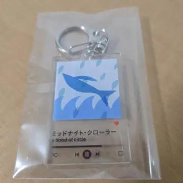 a flood of circle 미드나잇 크롤러 아크링 키링 플러드