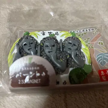 미야코지마 파인트 2.5D 마그넷