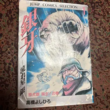 은아 별똥별 은 1권