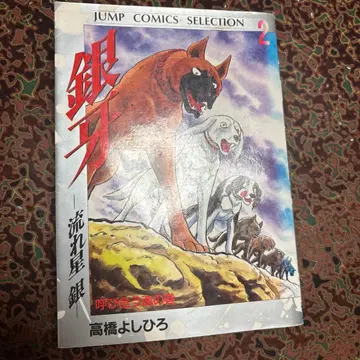 은아 별똥별 은 2